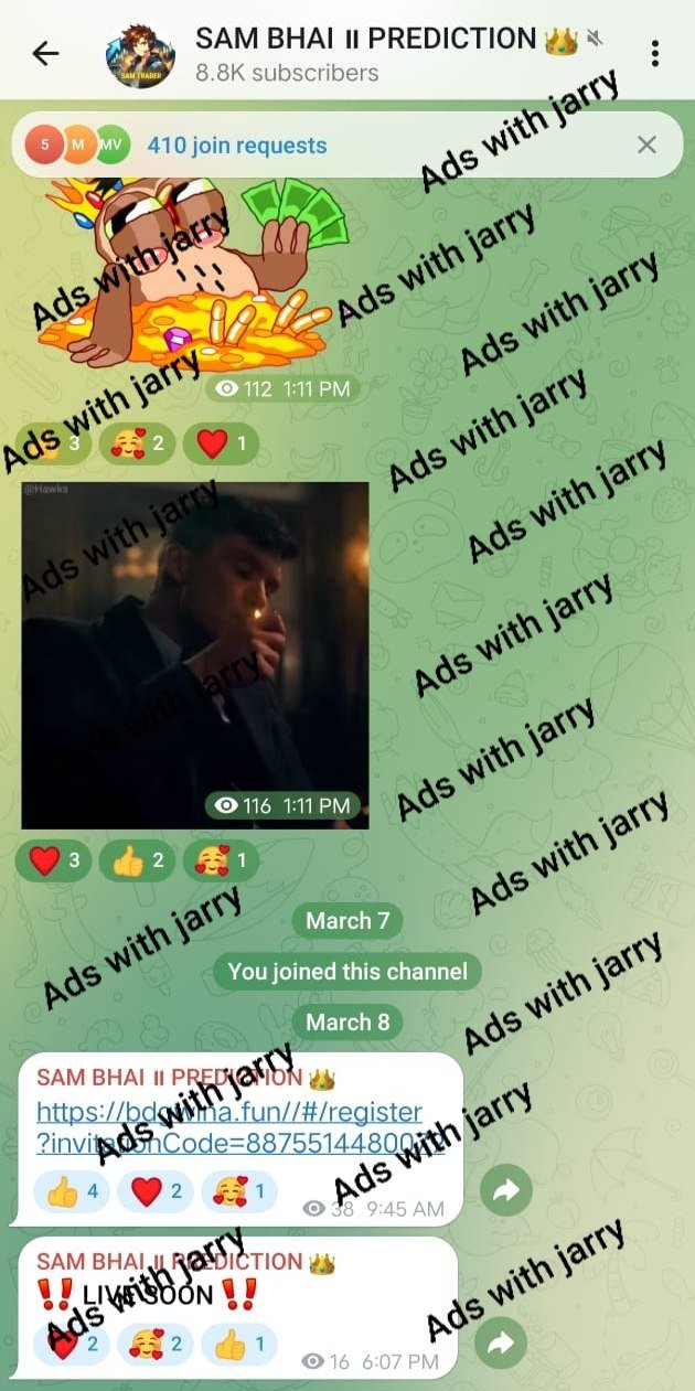 Meta Ads Result 2